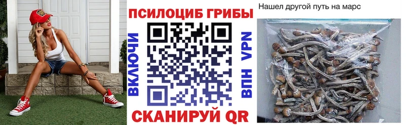 даркнет сайт  Егорьевск  Галлюциногенные грибы MAGIC MUSHROOMS 