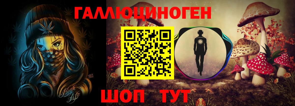 Псилоцибиновые грибы Cubensis Егорьевск