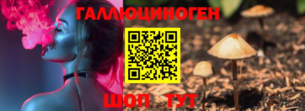 Егорьевск  Галлюциногенные грибы MAGIC MUSHROOMS  Вход с VPN 